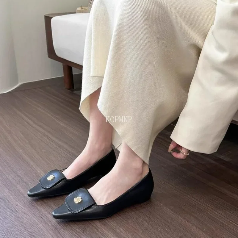 

2024 Spring Women's Pumps Shoes Fashion Elegant Slip on Low Heels Ladies Elegant Pointed Toe Mary Jane Shoes Retro Shoes Women