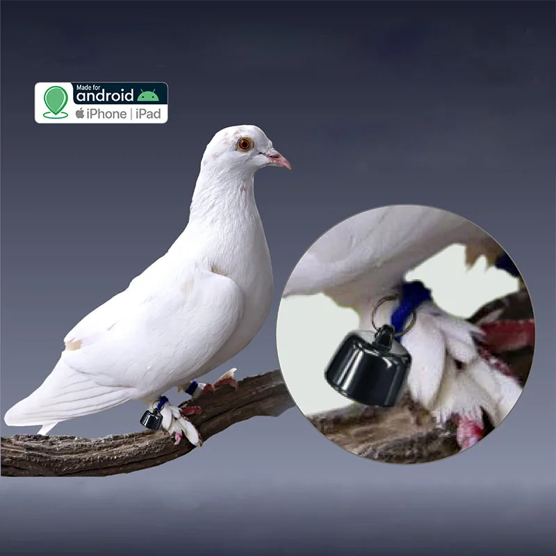 Verdant Trace Mini GPS Tracker 2