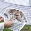 Folding clothes drying net Flat drying net pocket with zipper Folding fishing net Non toxic polyester net 5