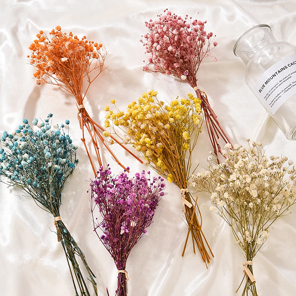 50pcs-Mini-Babysbreath-Natural-Fresco-Seco-Flores-Preservadas-Pequenas ...