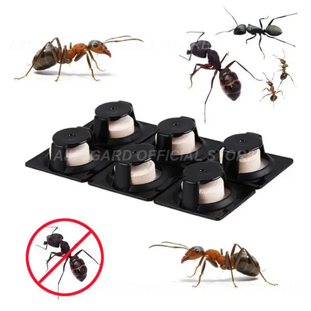 Hangya Ügynök Csali Rovar Kártevő Gyilkos Por Kártevőirtás Pusztítsd El A Hangyák Taszító Társát Csapdát Ölnek Baits Kerti Otthoni Csapda - Image 5