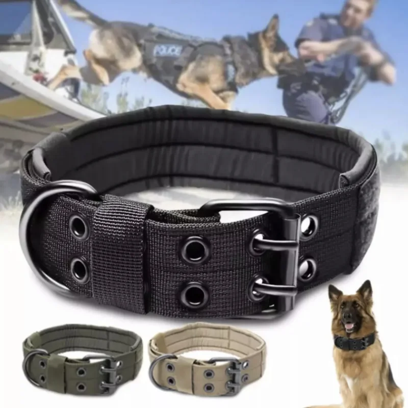 German Shepherd Buckle Prong Training Collar German Shepherd
