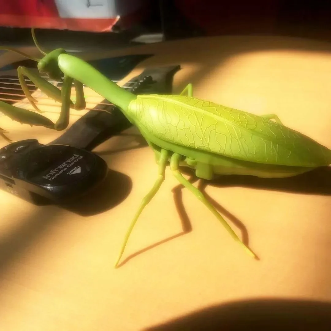 Infrared Remote Control Cockroach Simulation Animal Creepy Spider Bug Prank Fun RC Kids Toy Gift High Quality Drop Shipping 4