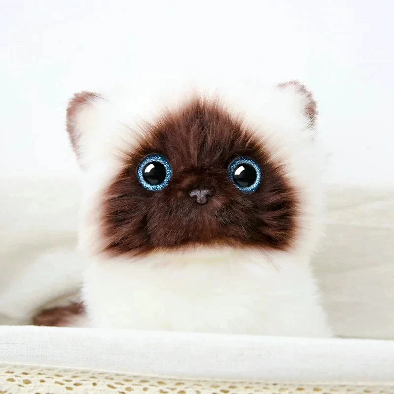 20/26CM Lifelike Cute Siamese Cat Plush Toy Blue Sequins Eyes Kitty Doll Brown And White Face Cat Cartoon Home Decor Kids Gift