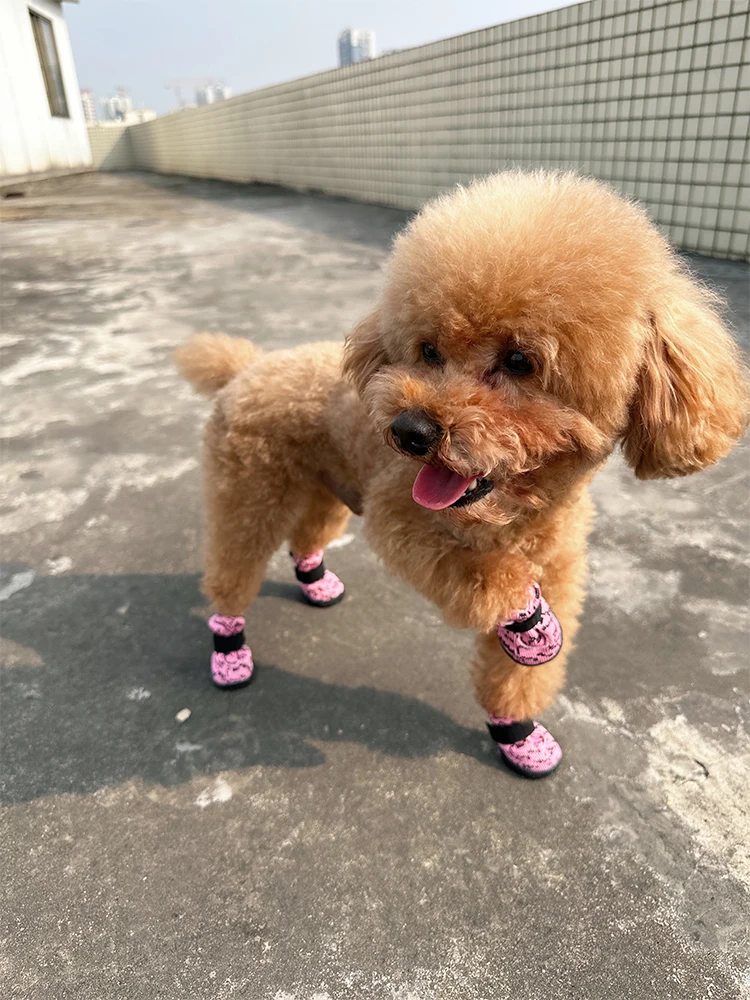 Se3943c6550a0473f9dc5da40ea5cadc0V