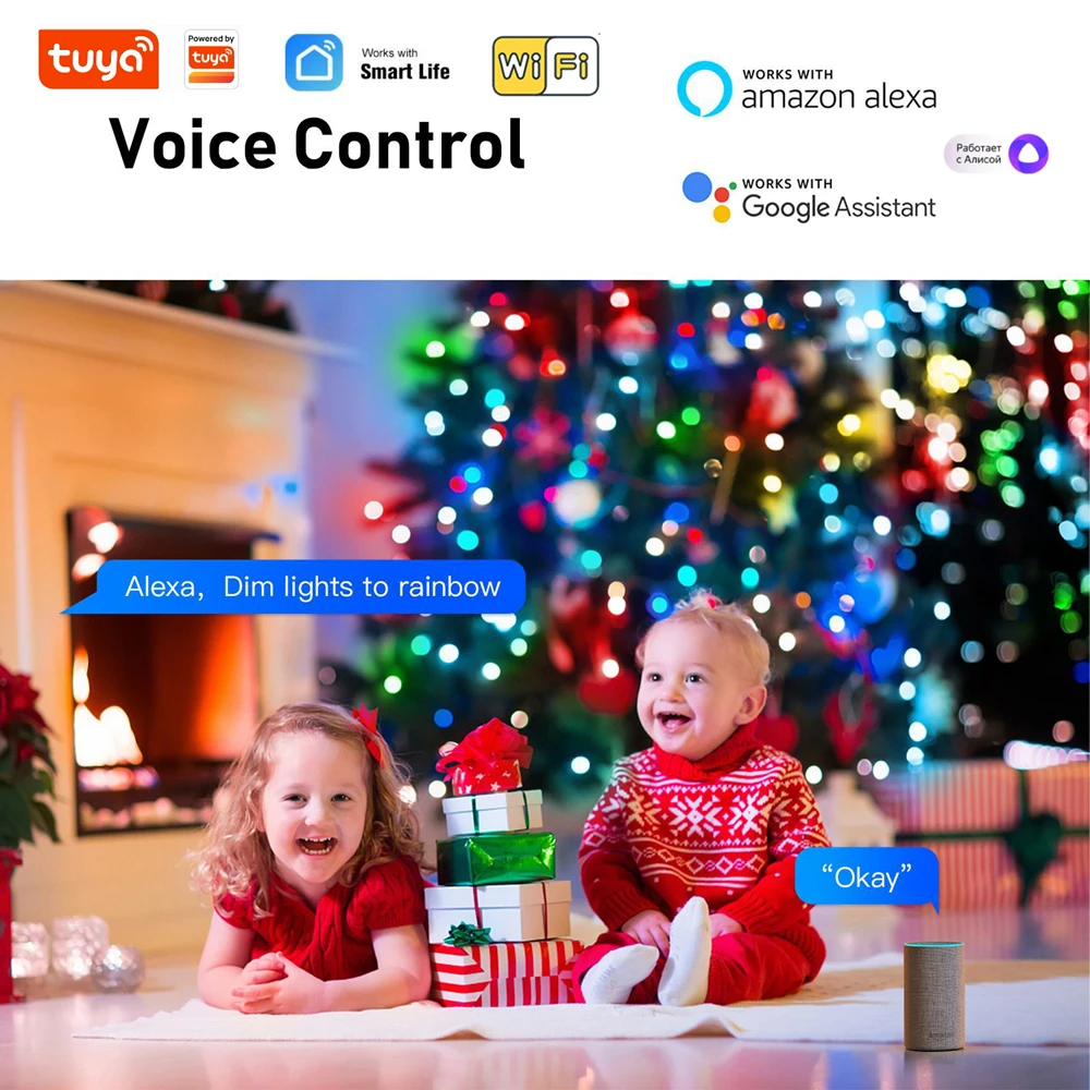 Tuya Wifi Globe Fairy Lights Smart Led Verlichting App Controle Dimbare Voice Voor Alice Alexa Google Home Party Kerst Decoratie