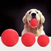 Hard Solid Rubber Balls for Dog Bite Resistant and Indestructible Dog Training Ball Pet Chew Play Fetch Bite Toy TPR Bouncy Ball 1