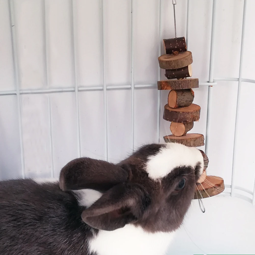 Small Pet Chew Apple Wood 3