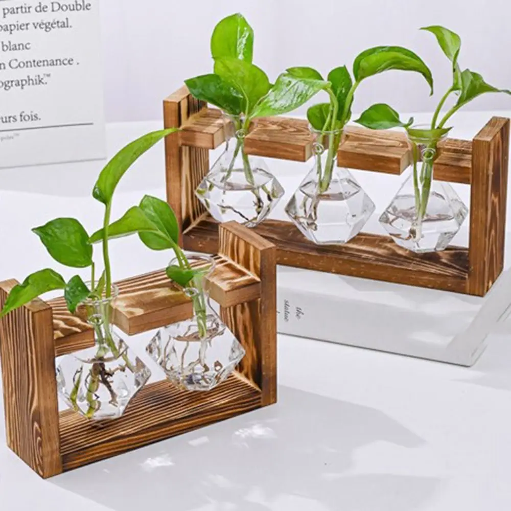 

Bonsai Decor Hydroponic Plant Vase Wooden Frame Creative Bonsai Flower Pot Tabletop Tray Transparent Combination Flower Pot