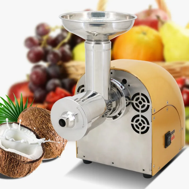 304 S.S Juicers Original Juicer Low Speed Celery Juicer Fully Automatic Multifunctional Slow Grinder for Fruits and Vegetables 2