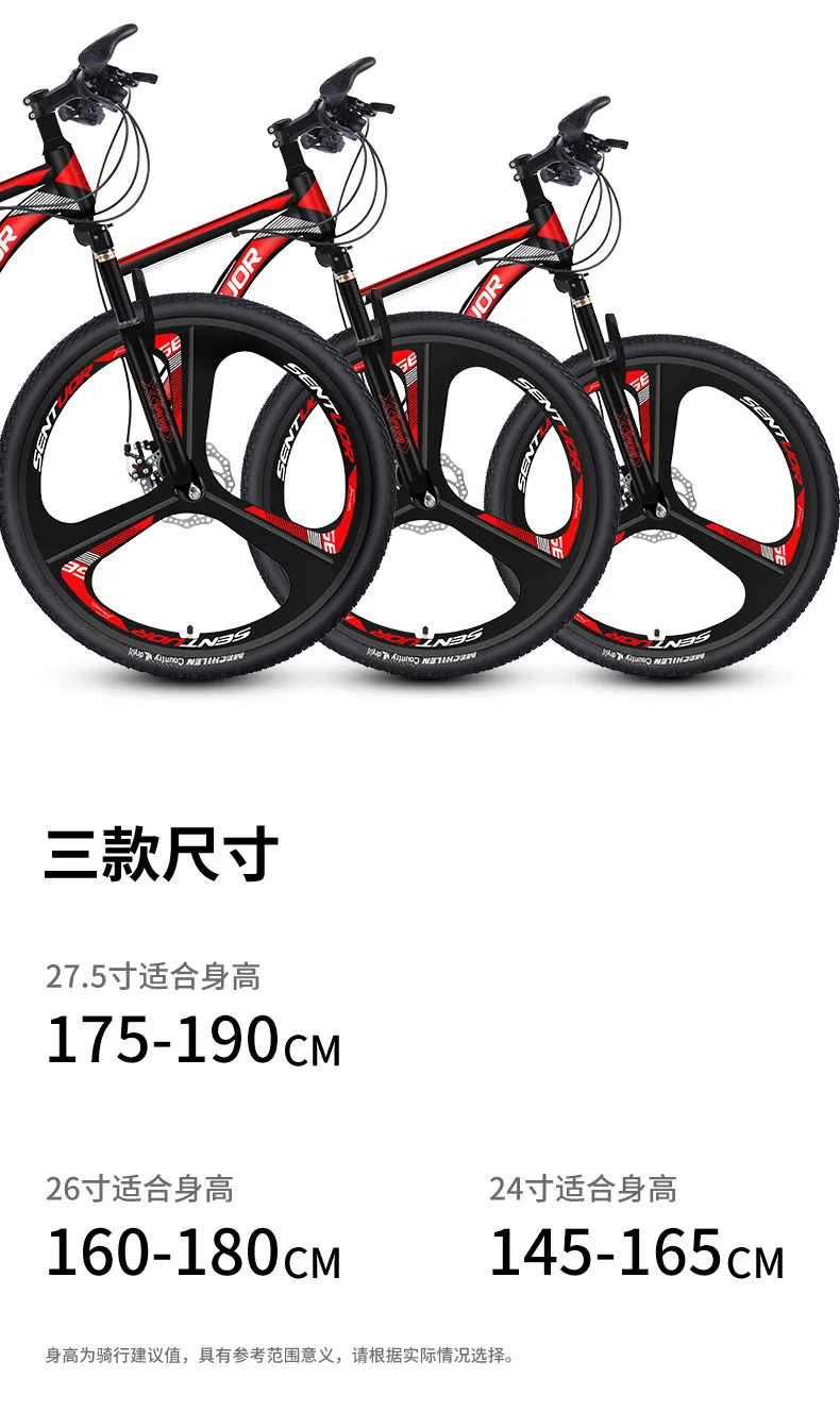 41b6e4e8-536a-454c-acfc-c109a0b81667.jpe