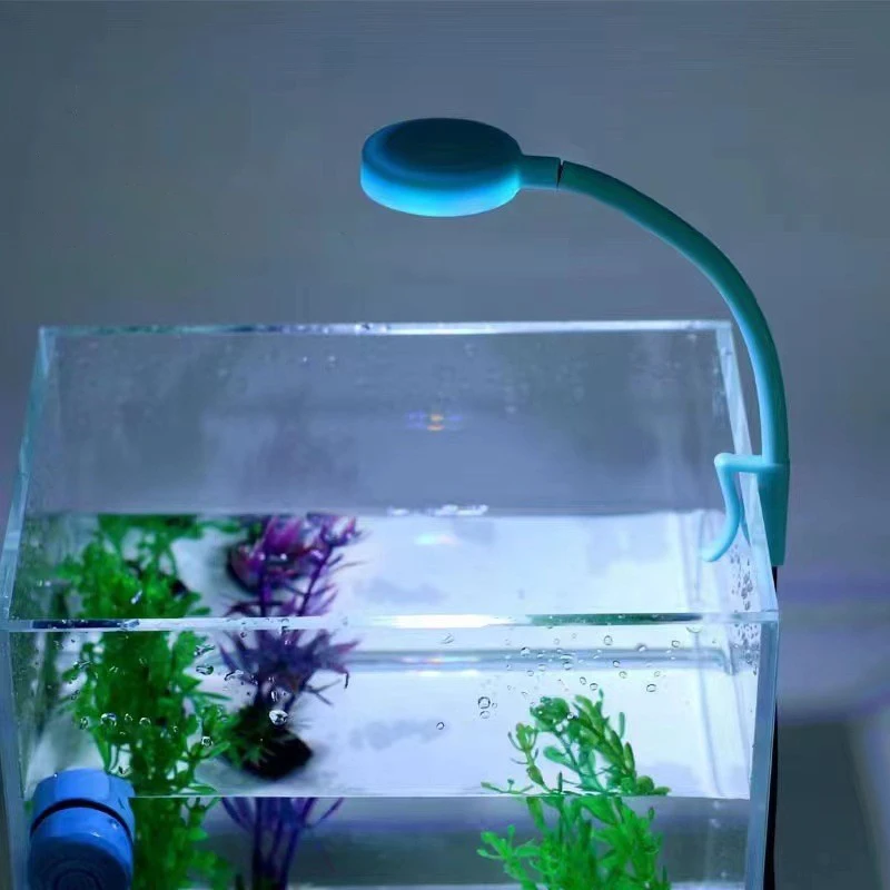 blue fill light