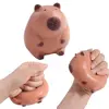 New Cartoon Lovely Capybara Kawaii Soft Adhesive TPR Slow Rebound Toy Creative Pinch Children Decompression Pinch Toys 1