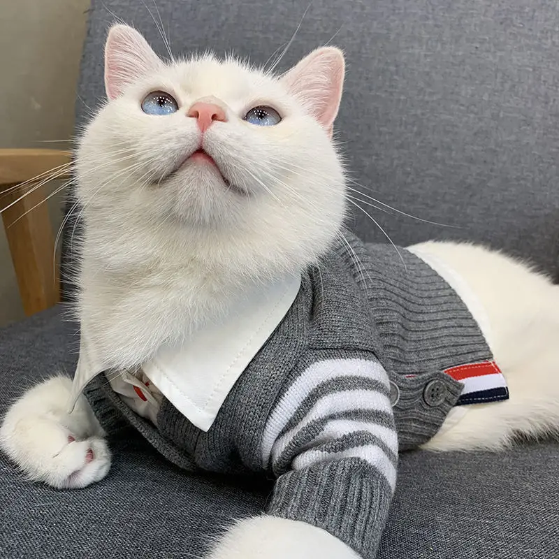 반려동물 귀여운 가디건 강아지 고양이 스웨터, 테디 프리즈 워머, 소형 중형 스웨터, 코트 재킷, 가을, 겨울 패션