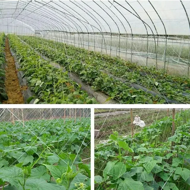 Garden Climbing Net Trellis Netting Heavy-Duty Plant Support Stand for Flowers Vegetable Vine Orchard Gardening Tools 4