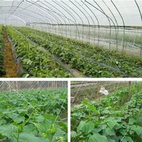 Garden Climbing Net Trellis Netting Heavy-Duty 1