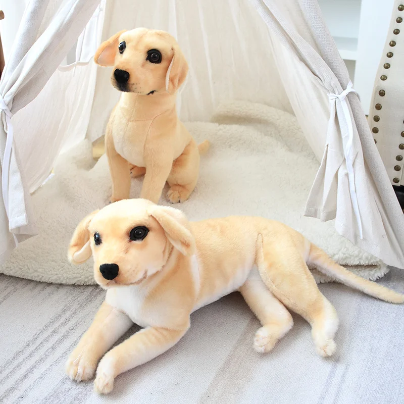 Se3a42b5fb46c4a0e87b490973bf6d5d3g - Labrador Merch