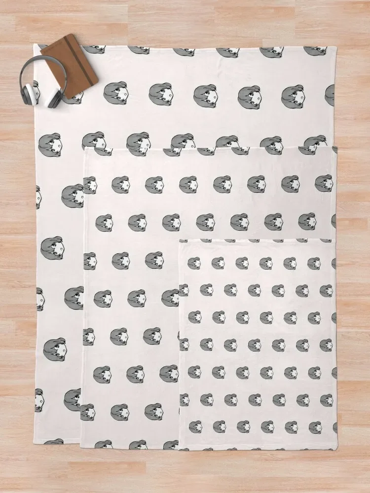 Ž�� ��¦ ������ ���, ķ�� ħ�� ���� ����, �Ϳ��� �ٸ��� ���