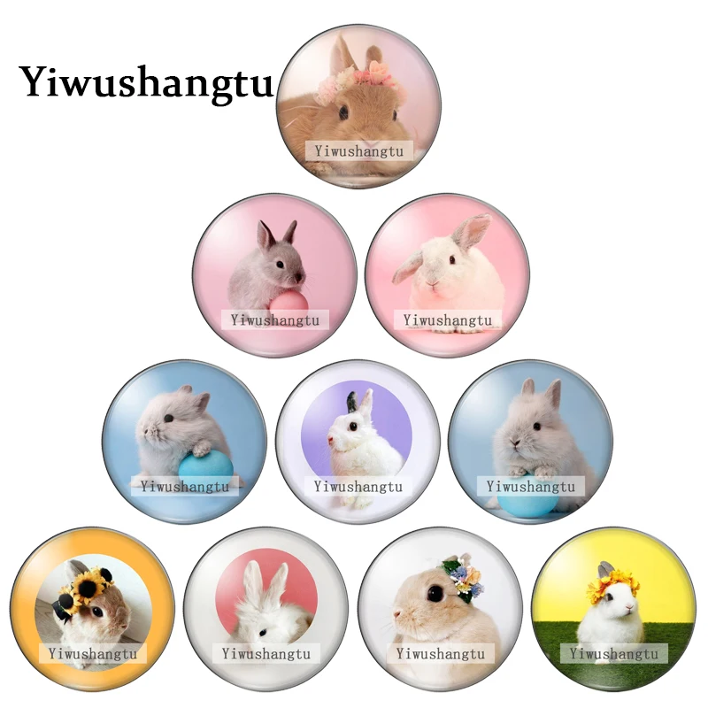 

Lovely cartoon pet rabbit animals pattern 12mm/18mm/20mm/25mm Round photo glass cabochon demo flat back Making findings