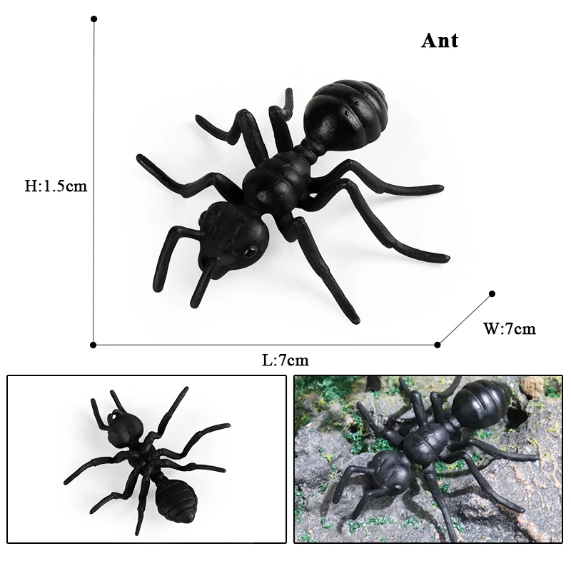 Oenux Wild Animals Simulation AArdvark Anteater Armadillo Pangolin Ant Natural Enemy Figurines PVC Model Collection Kid Toy Gift