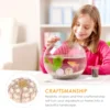 6 Pcs Aquarium Decorations Fish Tank Sea Urchin Crafts Home Decor Seashell Conch Vases Nautical Tilandsia Holder 2