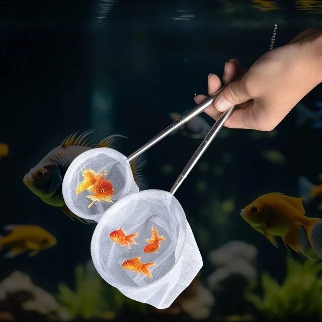 Aquarium Fish Net Small Shrimp Fine Mesh Net for Tank Cleaning Catching Breeding Betta Fry and Guppy with Handle Cleaning Tools 3
