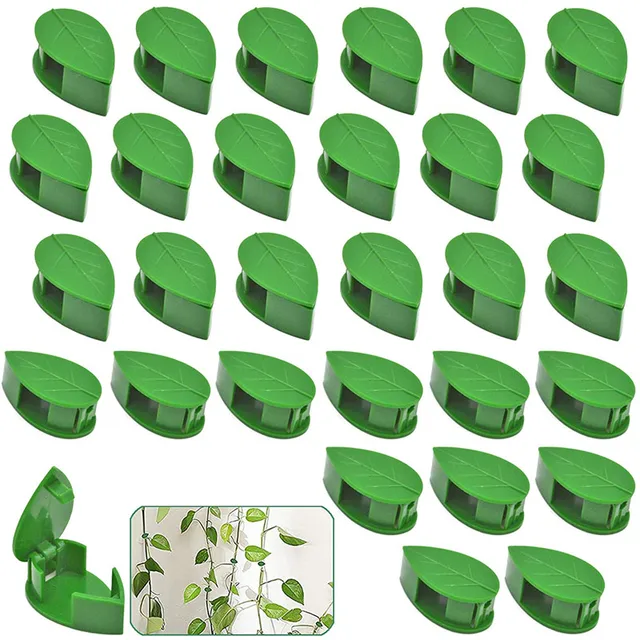 10-40 Százalék Növényi Hegymászó Fali Rögzítő Klipek Önfaró Horog Szőlő Tapadás Láthatatlan Tartó Növény Zöld Levél Szimuláció