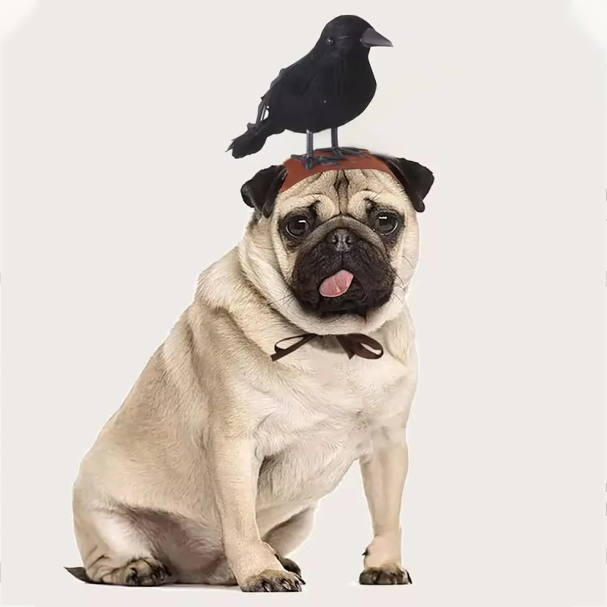 1pc-Halloween Crow Themed Pet Headwear for Cats and Dogs