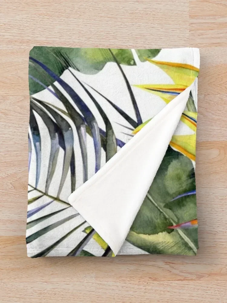 TROPICAL GARDEN ٸ   , Ÿ ̳ , ħ 