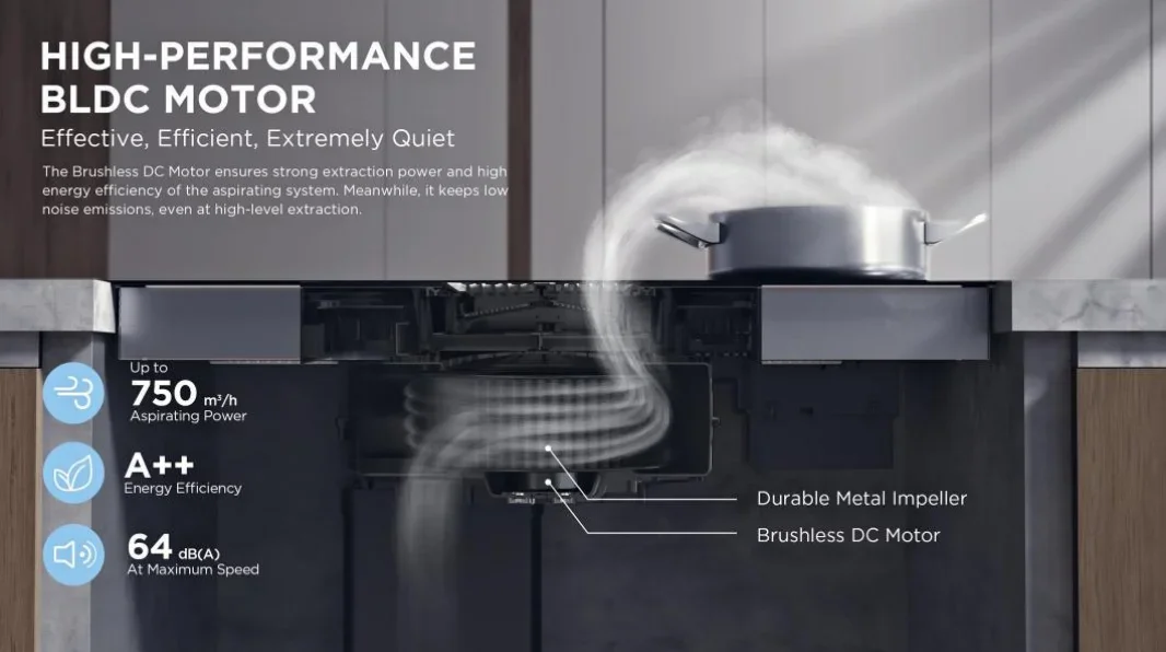 Description Picture 2 of itemGas StoveHome Appliances Induction Cooker With 2 Burners Induction Built In Oven Germany IGBT