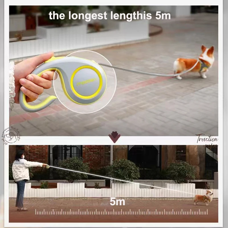 What Is The Longest Retractable Dog Leash