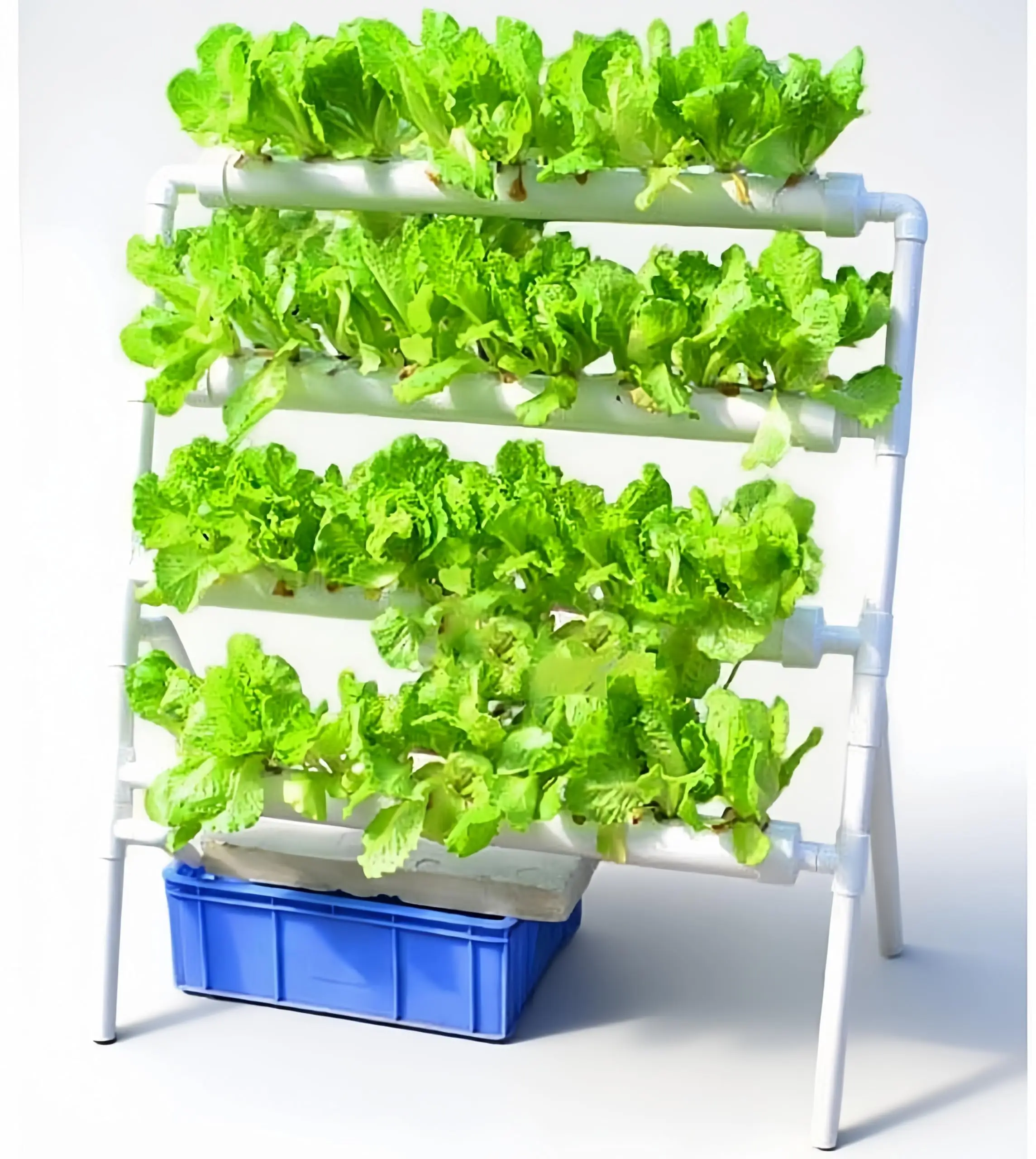 Hydroponics Growing System 36 Plant Sites 3 Layers Hydroponics Growing System Garden Plant System for Leafy Vegetables with Water Pump, Pump Timer, Nest Basket and Sponge