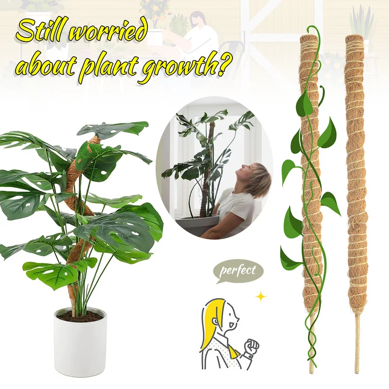 

Coconut Palm Stick Plant Climbing Pole Climbing Vine Coconut Palm Pole Can Bend DIY Moss Pole Green Dill Gardening Column