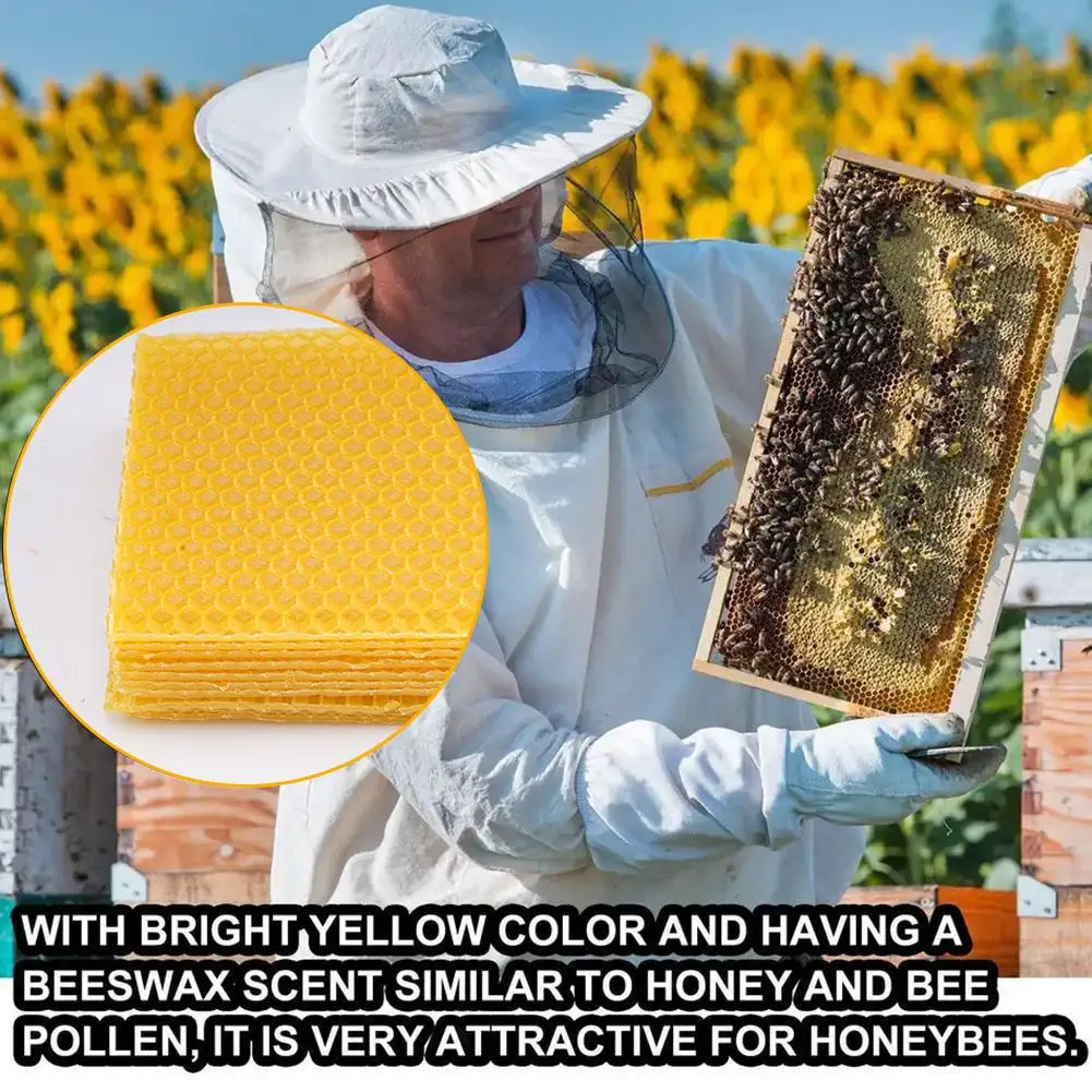 Yellow Honeycomb Foundation Bee Hive Wax Frames Base Sheets Frames Honey Beeswax Sheets Beekeeping Equipment