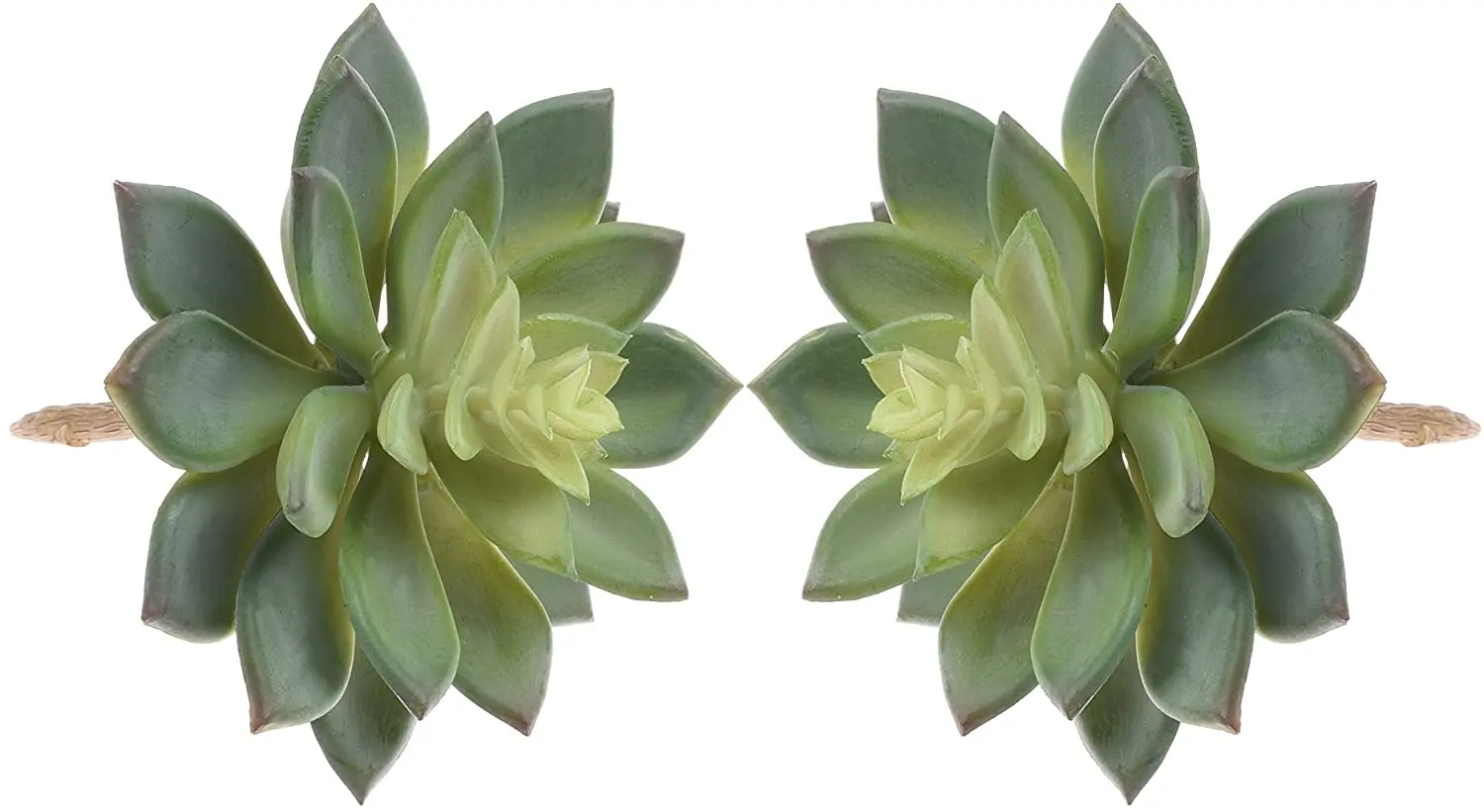 

Pack of 2 Realistic Cute Green Home Garden Artificial Plastic Snowdrop Succulent Plants