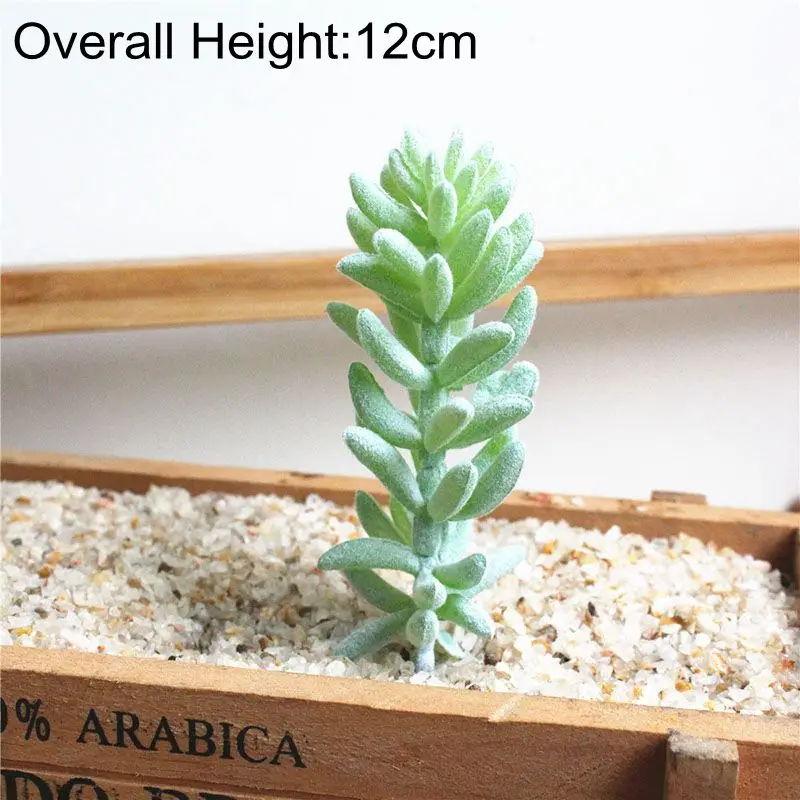 Vibrant Multicolor Flocking Succulent Plants