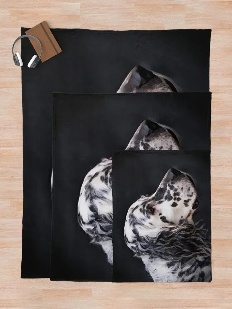 ���� �� ������ ���, ���� ���� ��, �Ϳ��� �ٸ��� ���� ���� ����, ķ��, ���� ħ�� ���