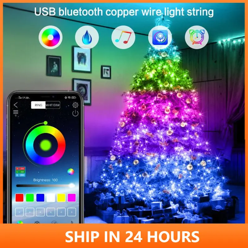 

USB Bluetooth LED RGB Light 160+ Lighting Mode Waterproof Garland String Lights For Outdoor Christmas Decoration Holiday Light 4