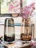 European Simple Glass Vase, Gray, Green, Coffee Hydroponic Systems, Flower Pot, Living Room, Home Decoration Accessories 1