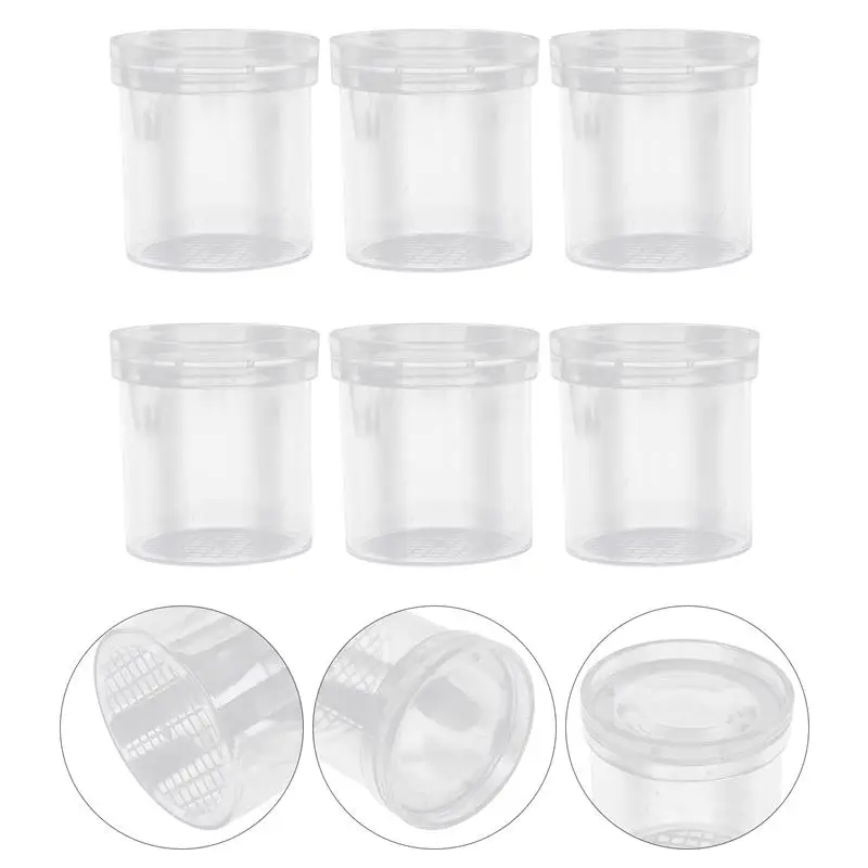 6Pcs Transparent Insect Observation Cup