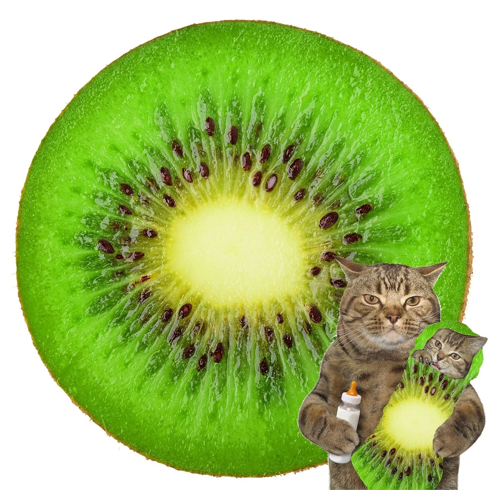 �ΰ� Ű�� ����Ʈ ���� ��ġ ��Ʈ, ��ũ�� ķ�� ��Ʈ, �β��� ������ �����ġ Ÿ��, ��ġ ������ ����, 90cm, 1 ��