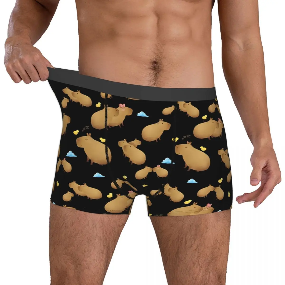 Chill Cute Men Boxer Briefs Capybara Breathable Creative Underpants Top Quality Print Shorts Gift Idea 4