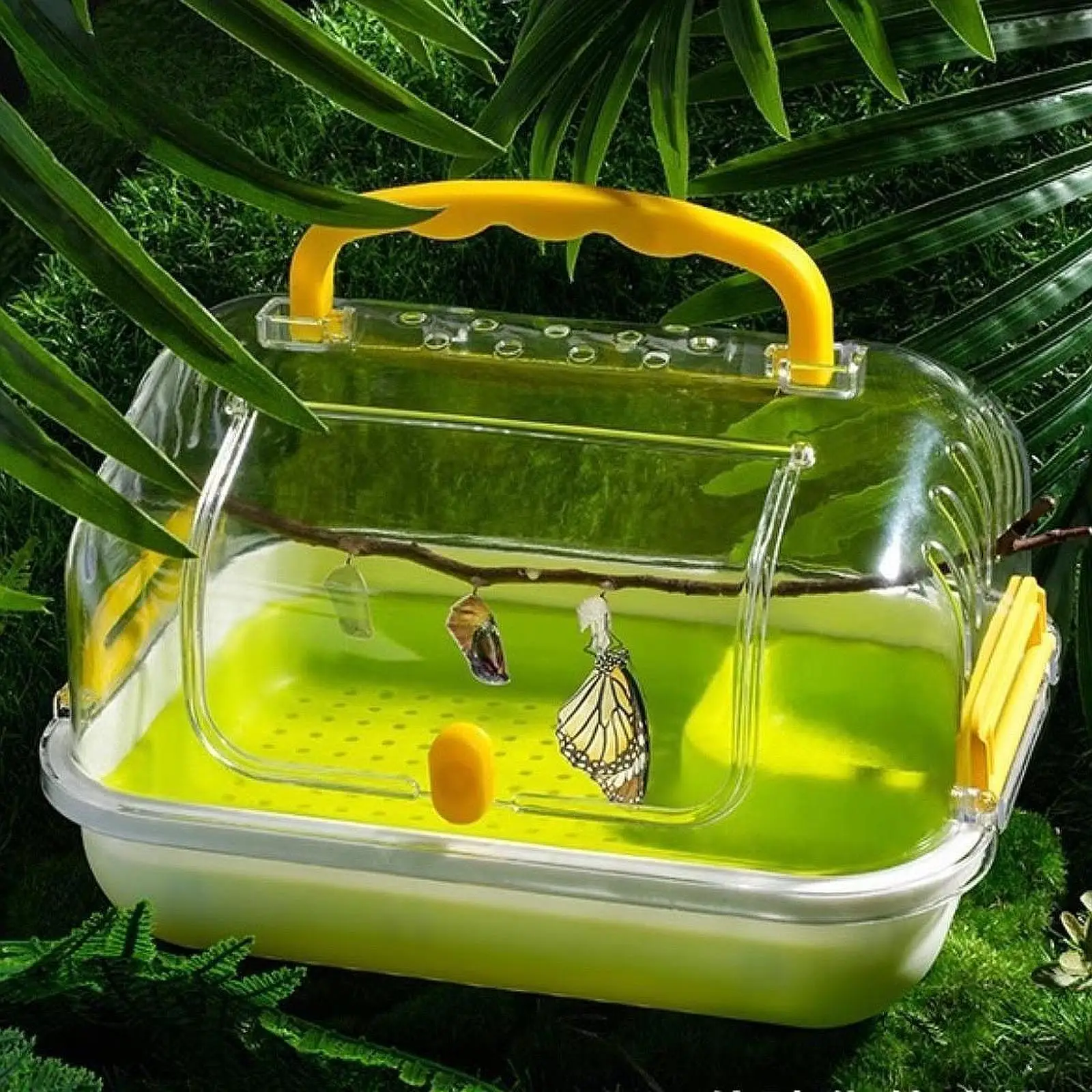 Turtle Tank Amphibians Multifunction Areas Tortoises Case Turtle Terrarium for Snail Butterflies Horned Frogs Turtle Silkworms