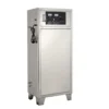 CE 100g Ozone Genetaror Water Swimming Filter Sterilizer System For Commercial Swimming Pool Equipment 3