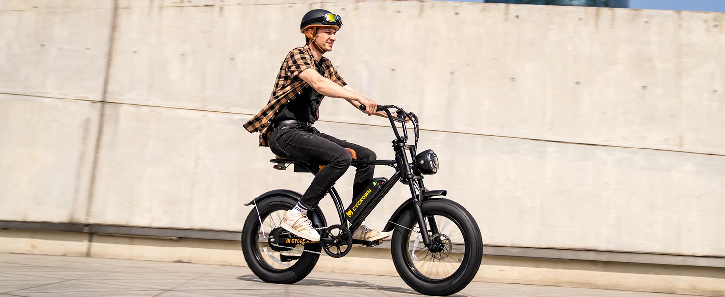 electric bike