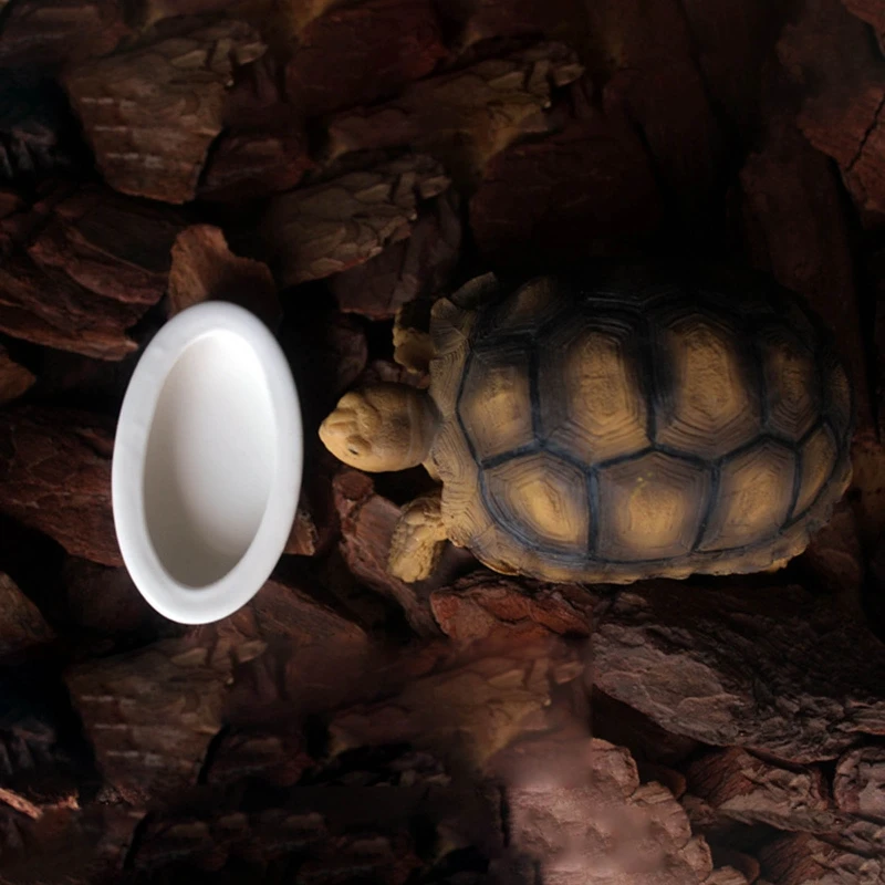 Reptile Worm Dish Mini Reptile Food for Lizard Anoles Bearded Dragons