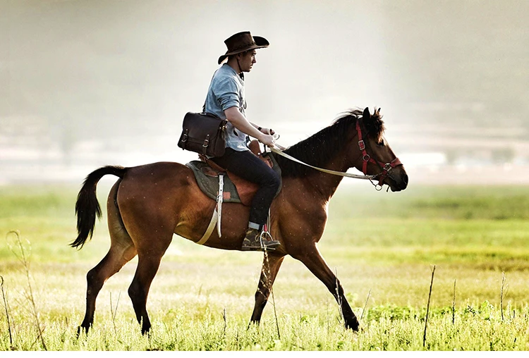 کلاه کابوی دستساز چرم طبیعی Crazy Horse 4 Se3cc15d901824ed1a003de551c7cc2cfo