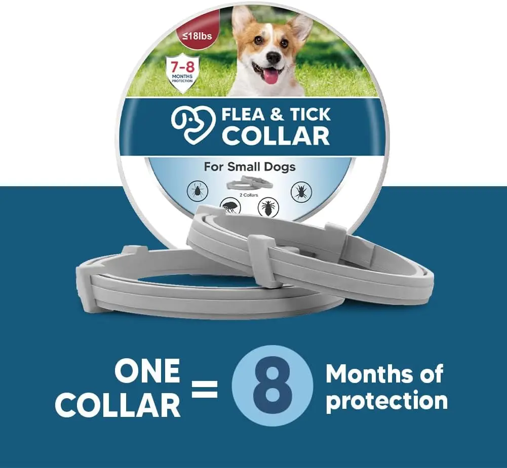 Collar design detail