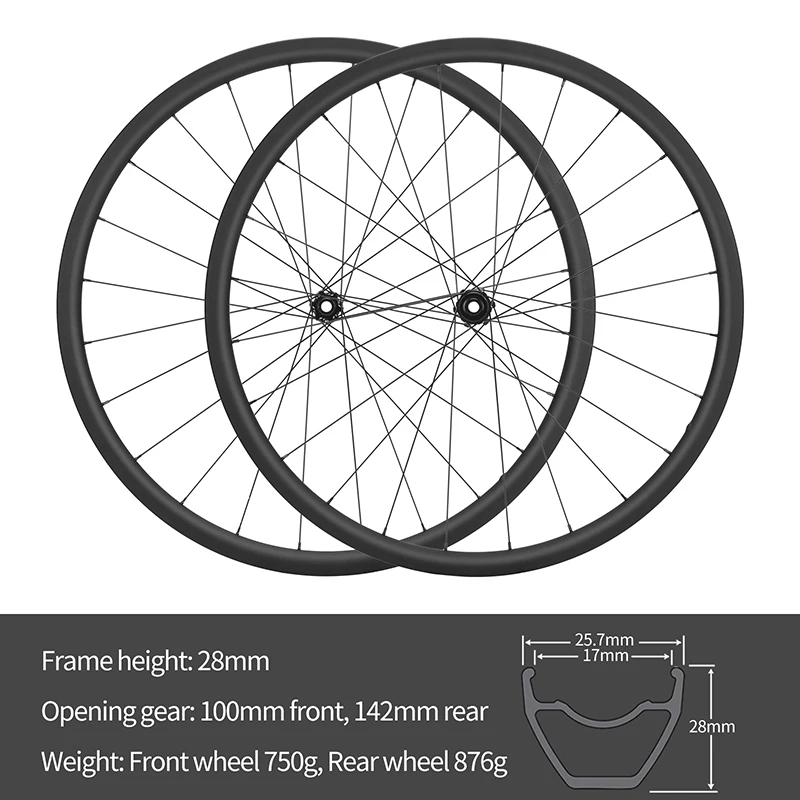 カーボンファイバーロードバイクスルーアクスルホイール 100
