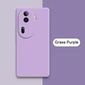 Grass Purple
